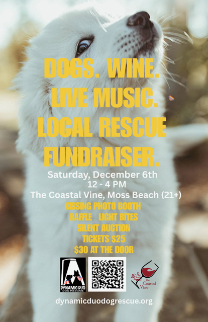 Dynamic Duo Dog Rescue Fundraiser 1