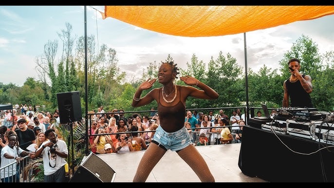AfroSummer Fest 1