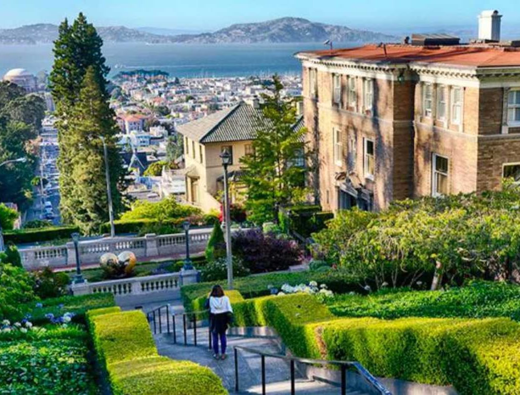 Pacific Heights 1