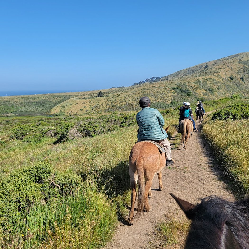 Chanslor Ranch 1