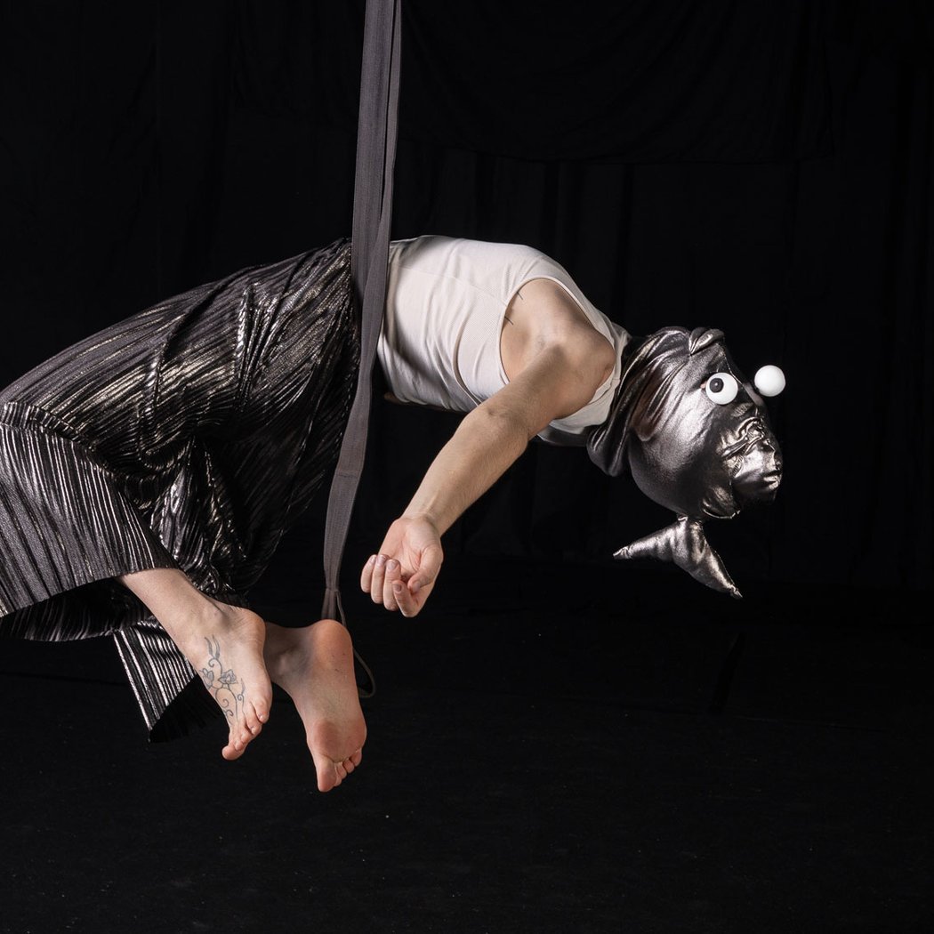Cirque aérien A la Volière 1