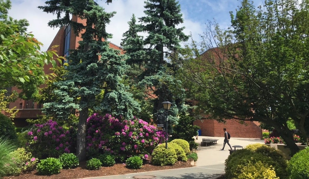 Adelphi University 2