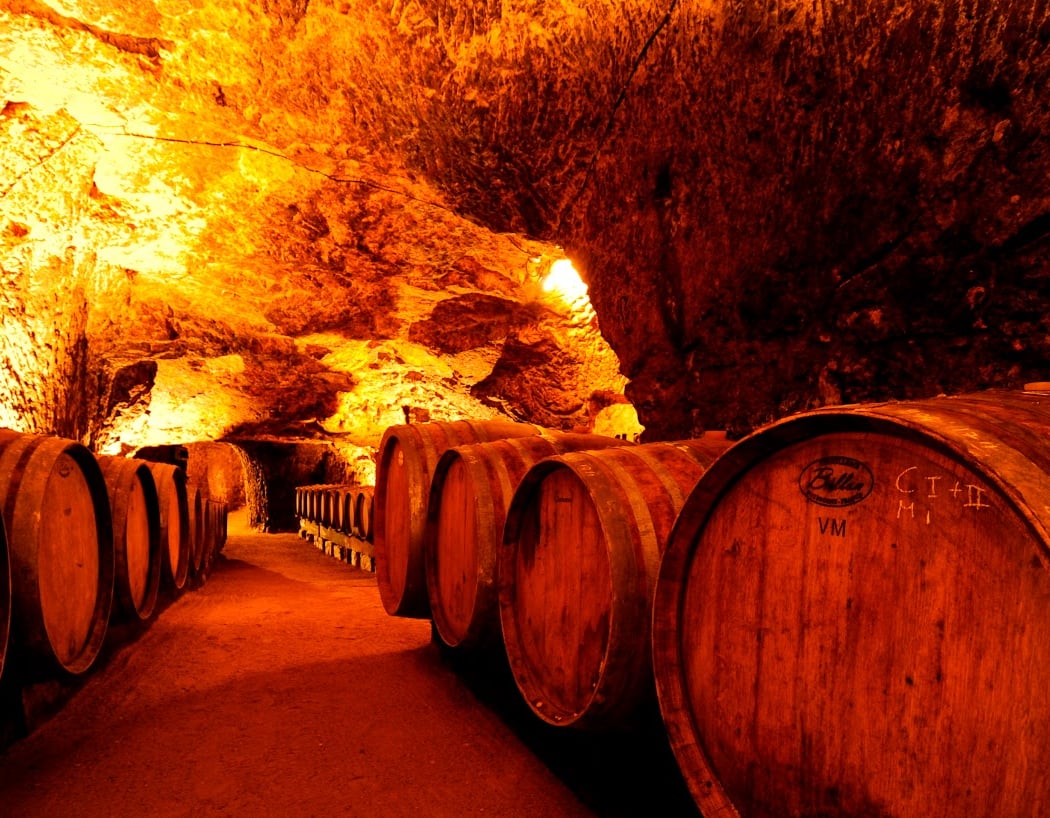 Domaine des Roches Neuves 1