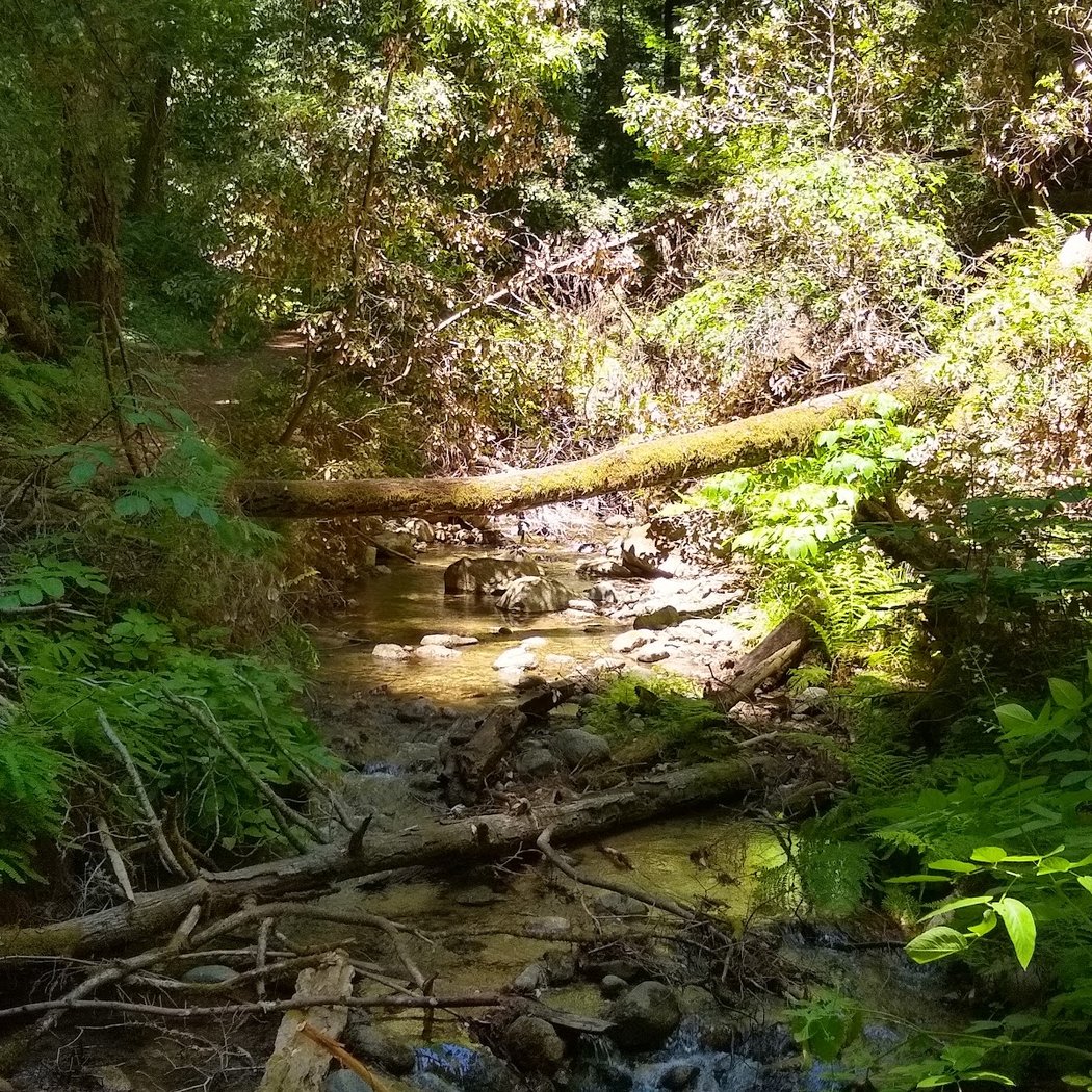 Fall Creek Trail 2