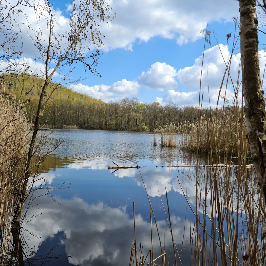 Scarpe-Escaut Regional Nature Park 3