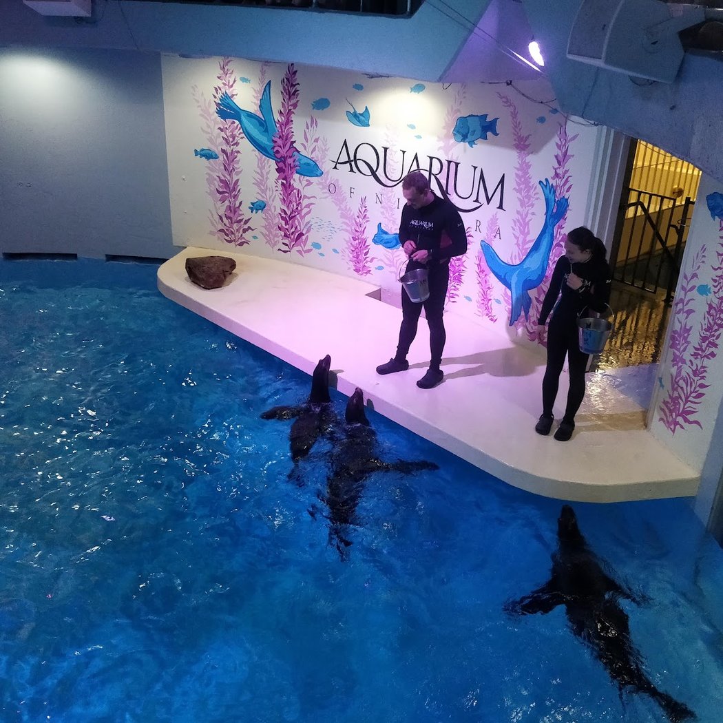 Aquarium of Niagara 3