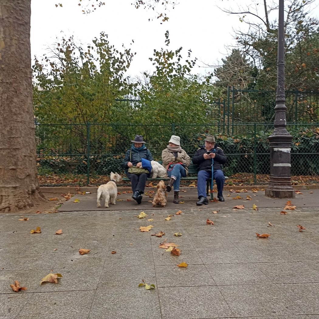 Espace canin du Mail Pierre Desproges 1