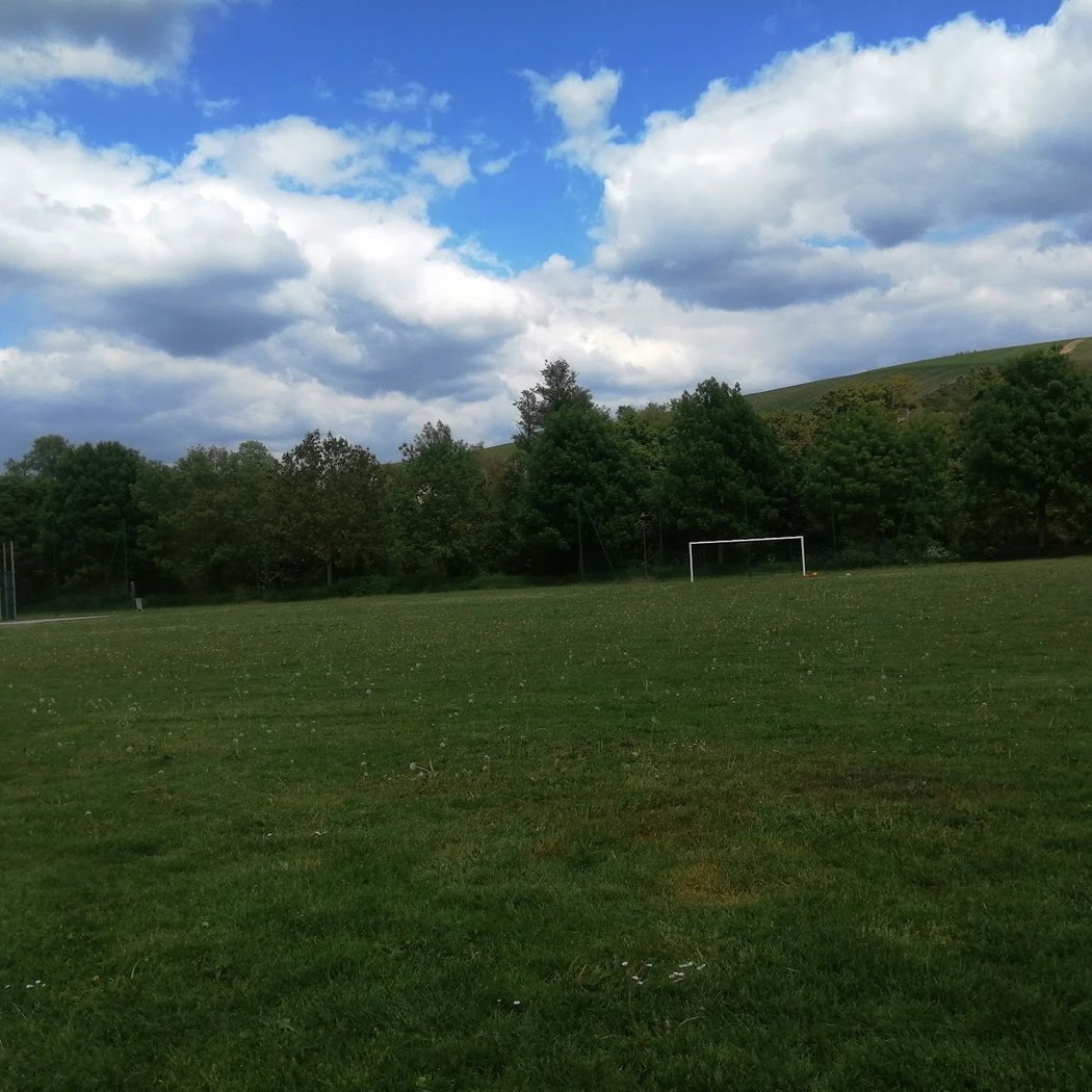 Parc de l'étang 2
