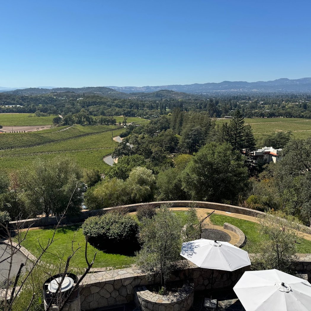 Palmaz Vineyards 3