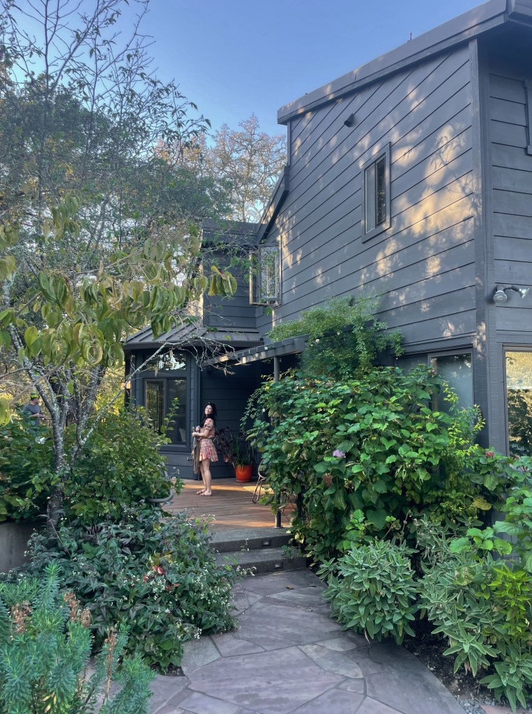 Healdsburg 3
