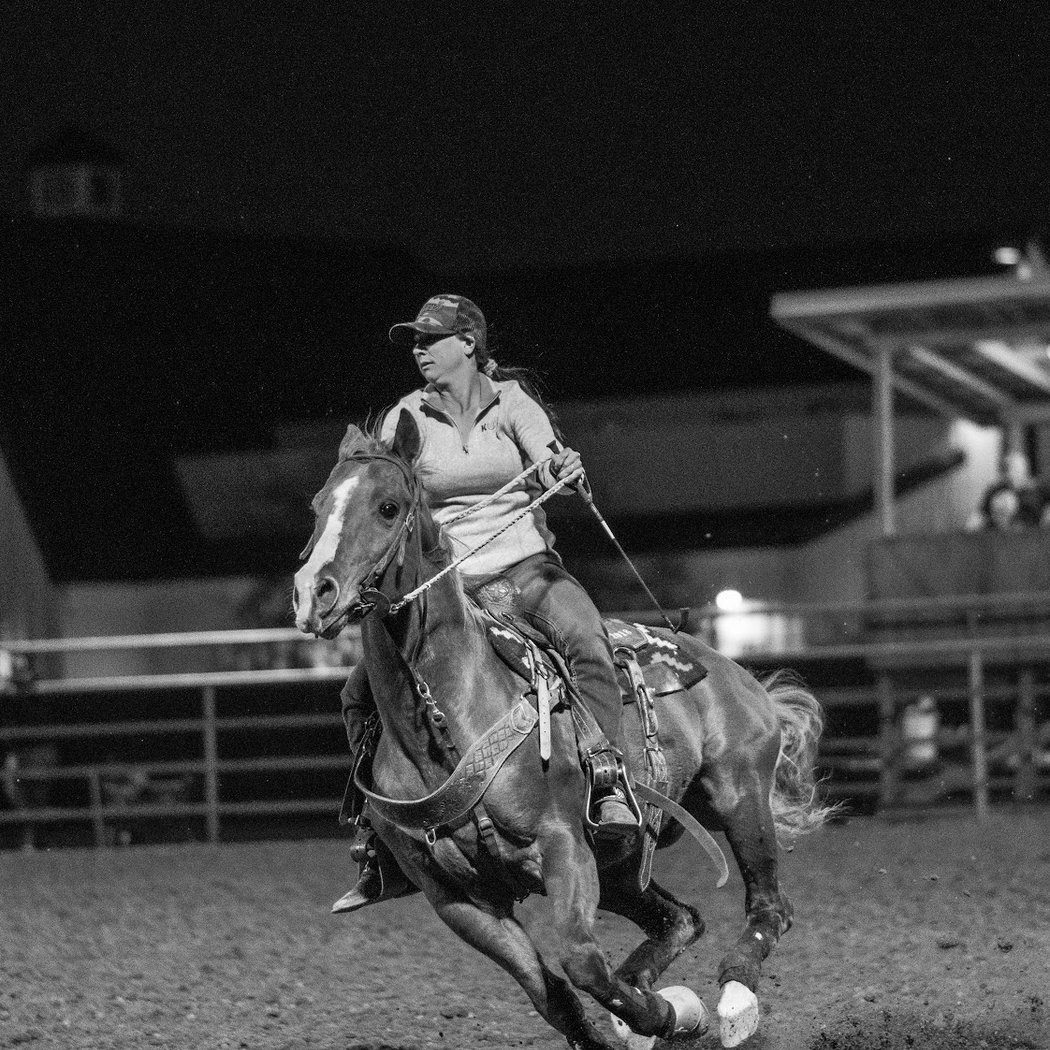 Horseshoe Park & Equestrian Centre 1