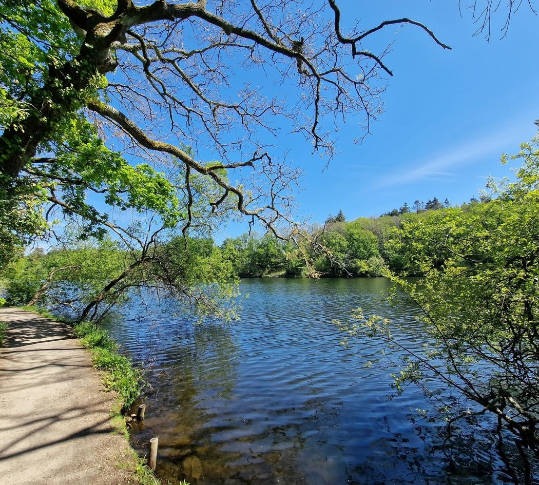 Sentier du Belvédère 2