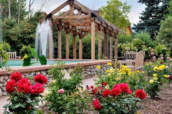 Meet the Rose Gardener 1