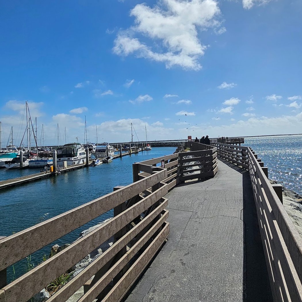 Pillar Point Beach 2