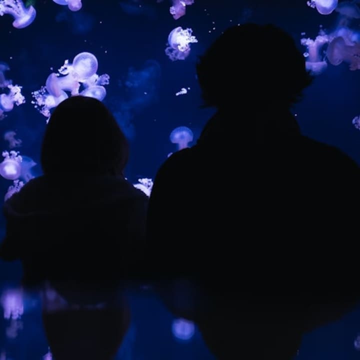 Aquarium de Paris 2
