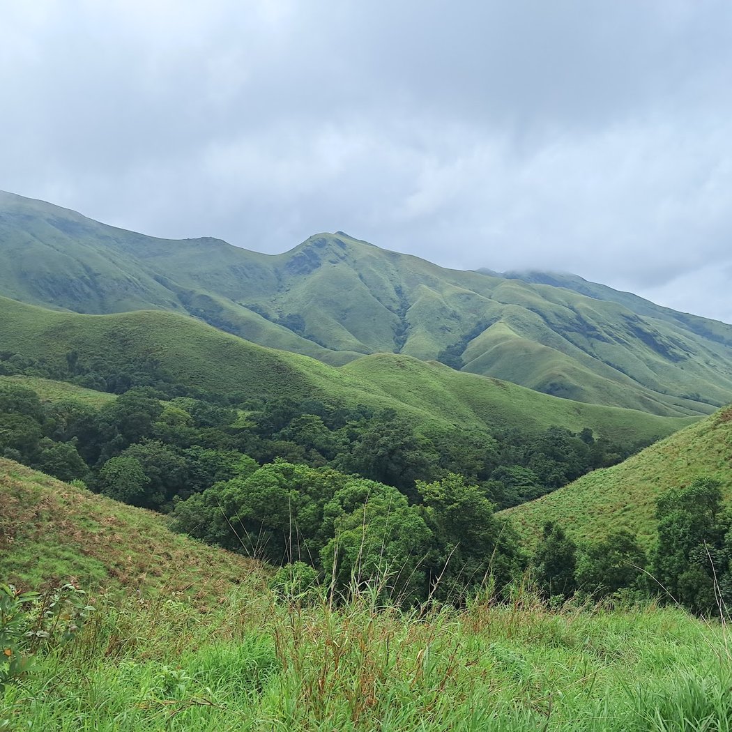 Miles To Trek 3
