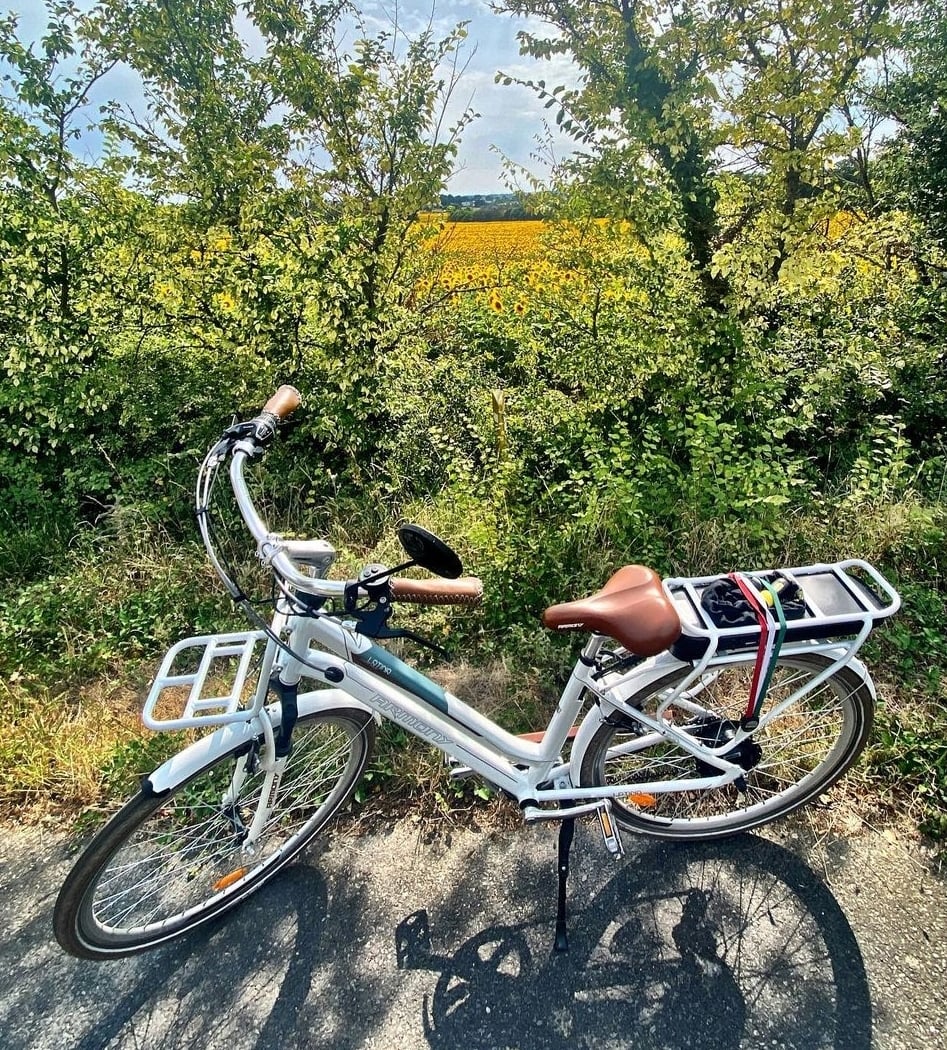 Les Vélos Tournesols 1