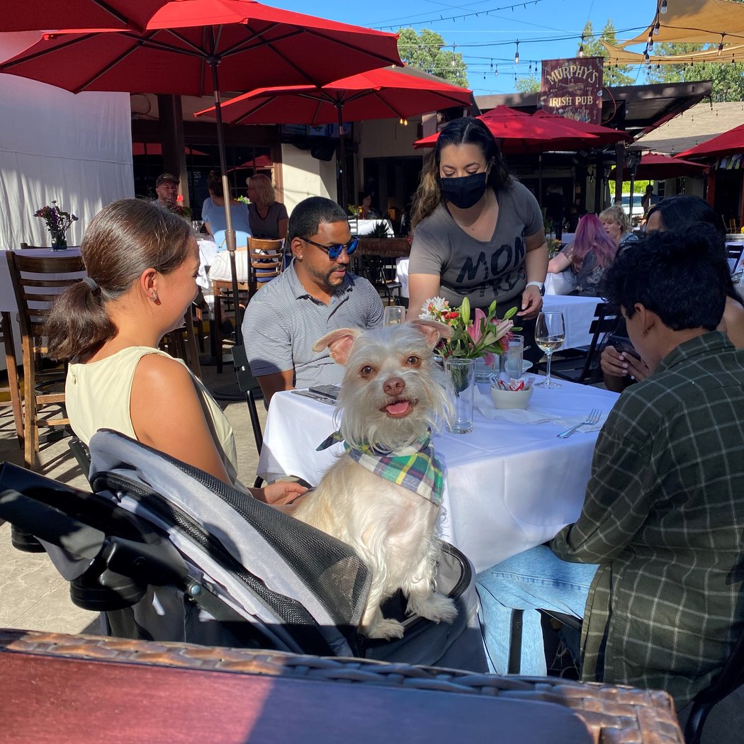Murphy's Irish Pub & Restaurant 5
