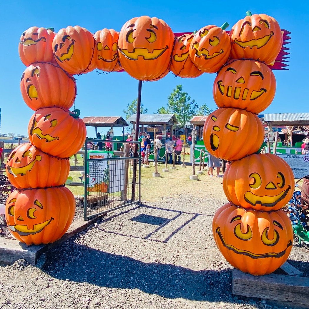 Pumpkin Season 1