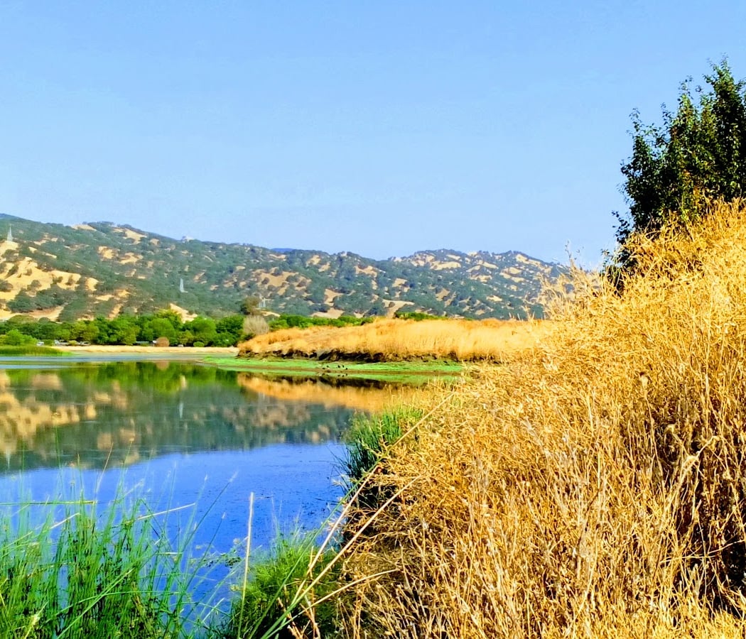 Vacaville 3