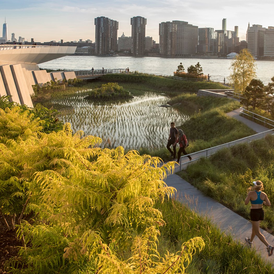 Hunter's Point South Park 1