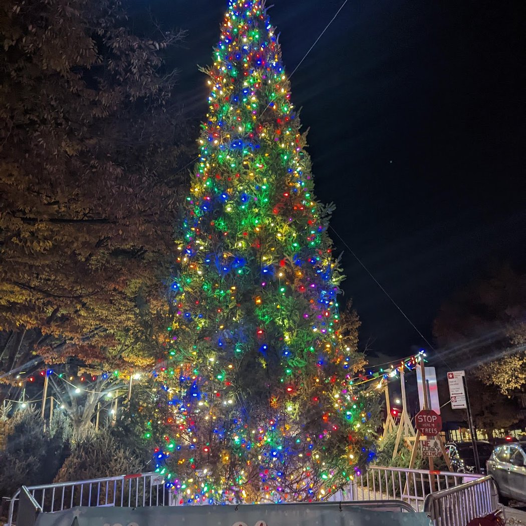 Annual Tree Lighting Event 1
