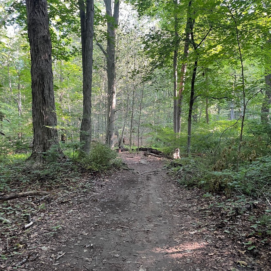 Graham Hills Park 3