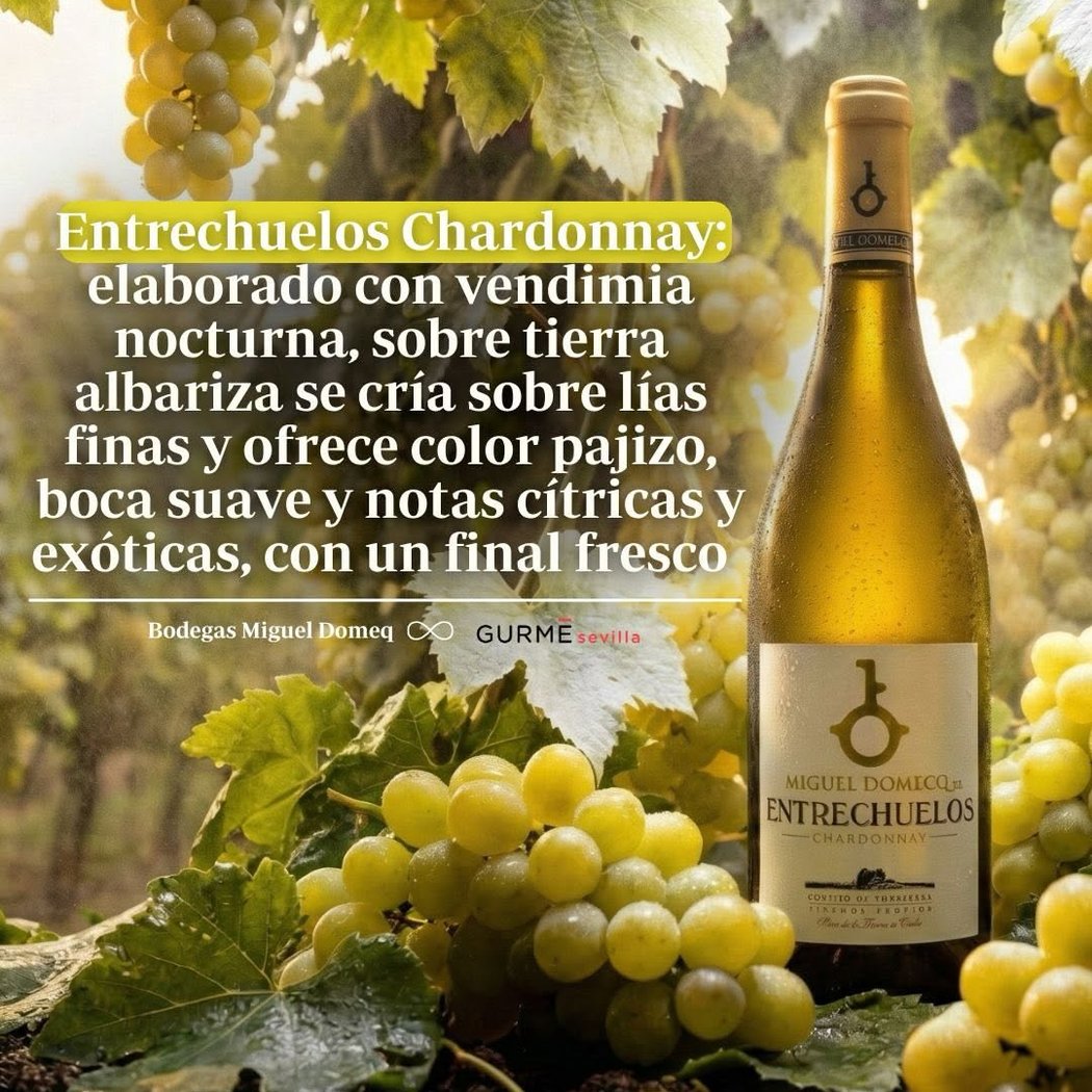 Bodega Miguel Domecq 1