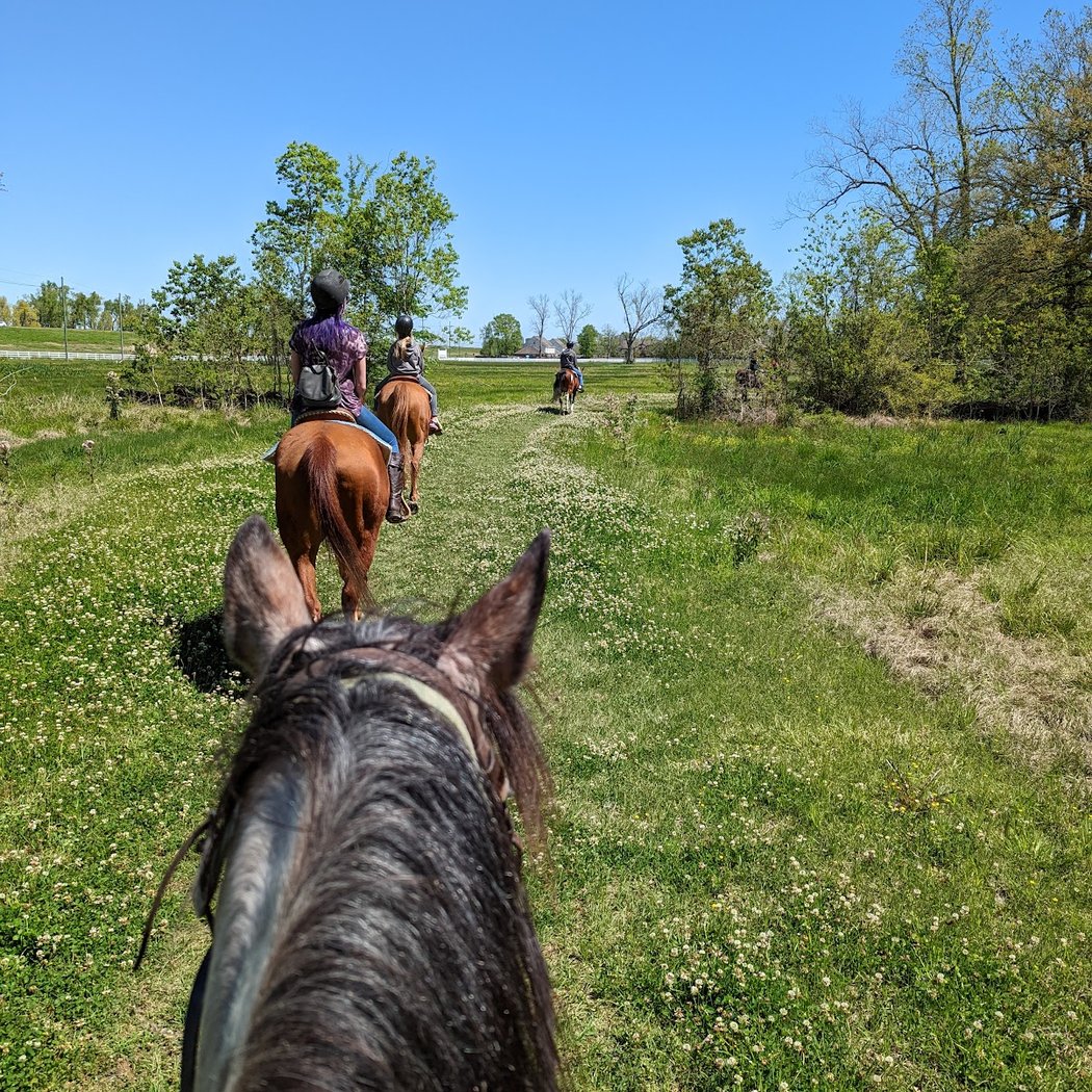 BREC Farr Park Equestrian Center 1