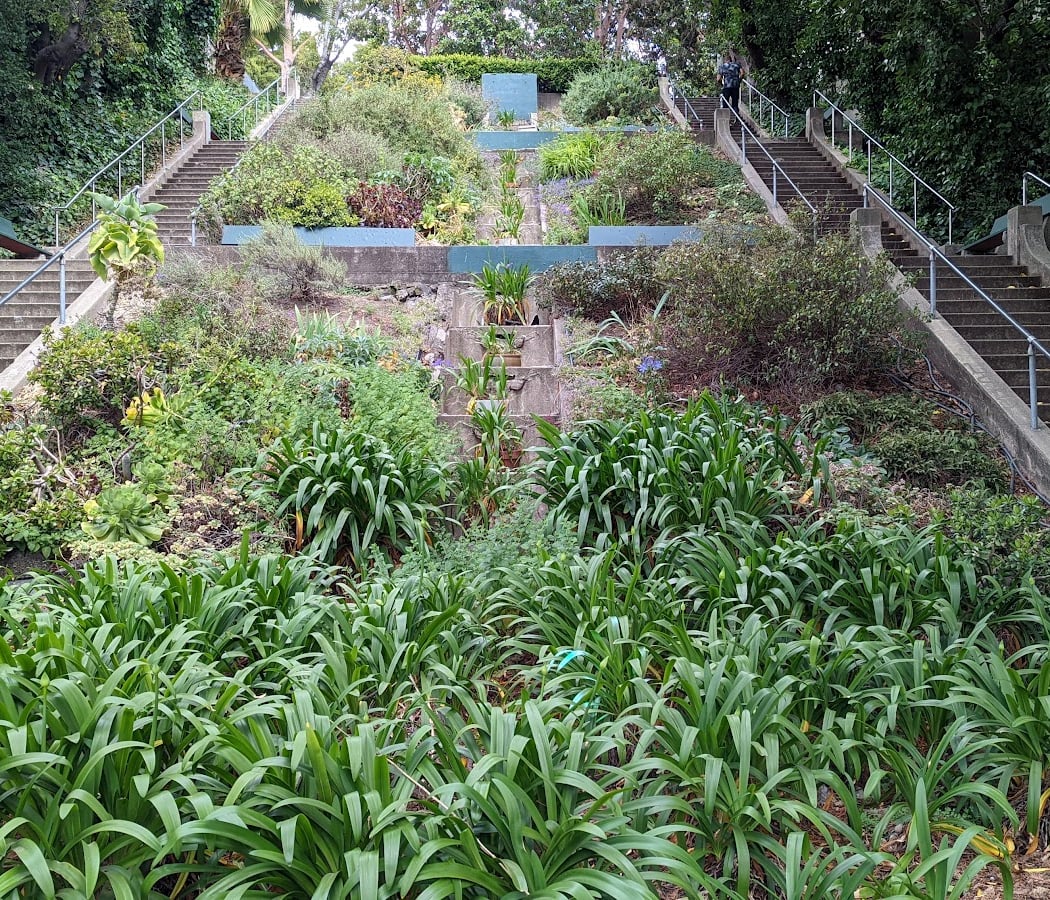 Cleveland Cascade 1