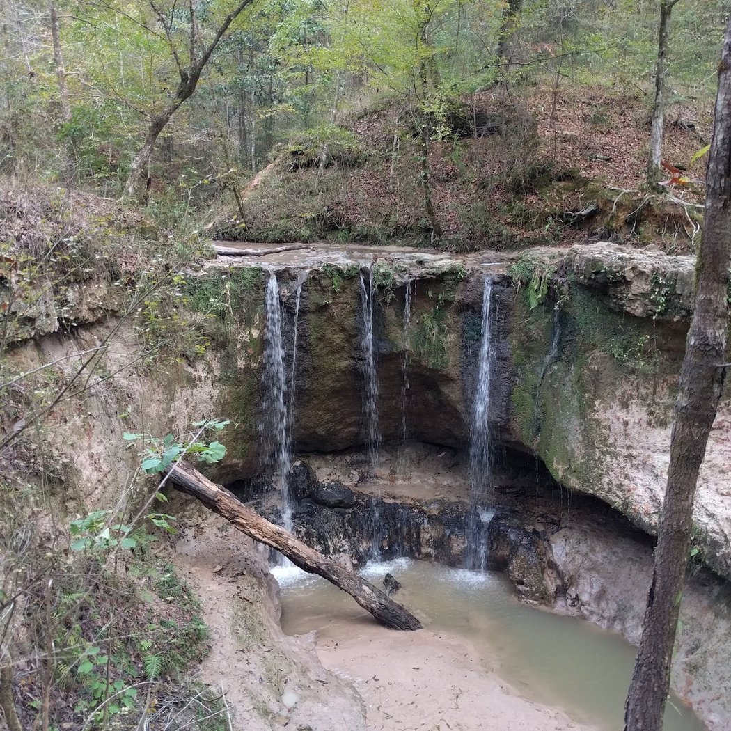 Tunica Hills WMA 2