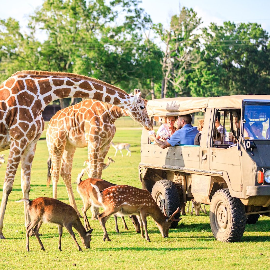 Global Wildlife Center 1
