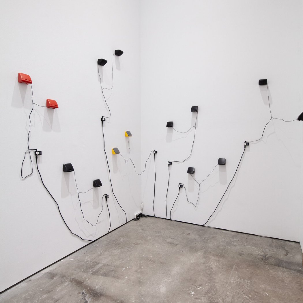 Angie Zheng: 印象/Impressions