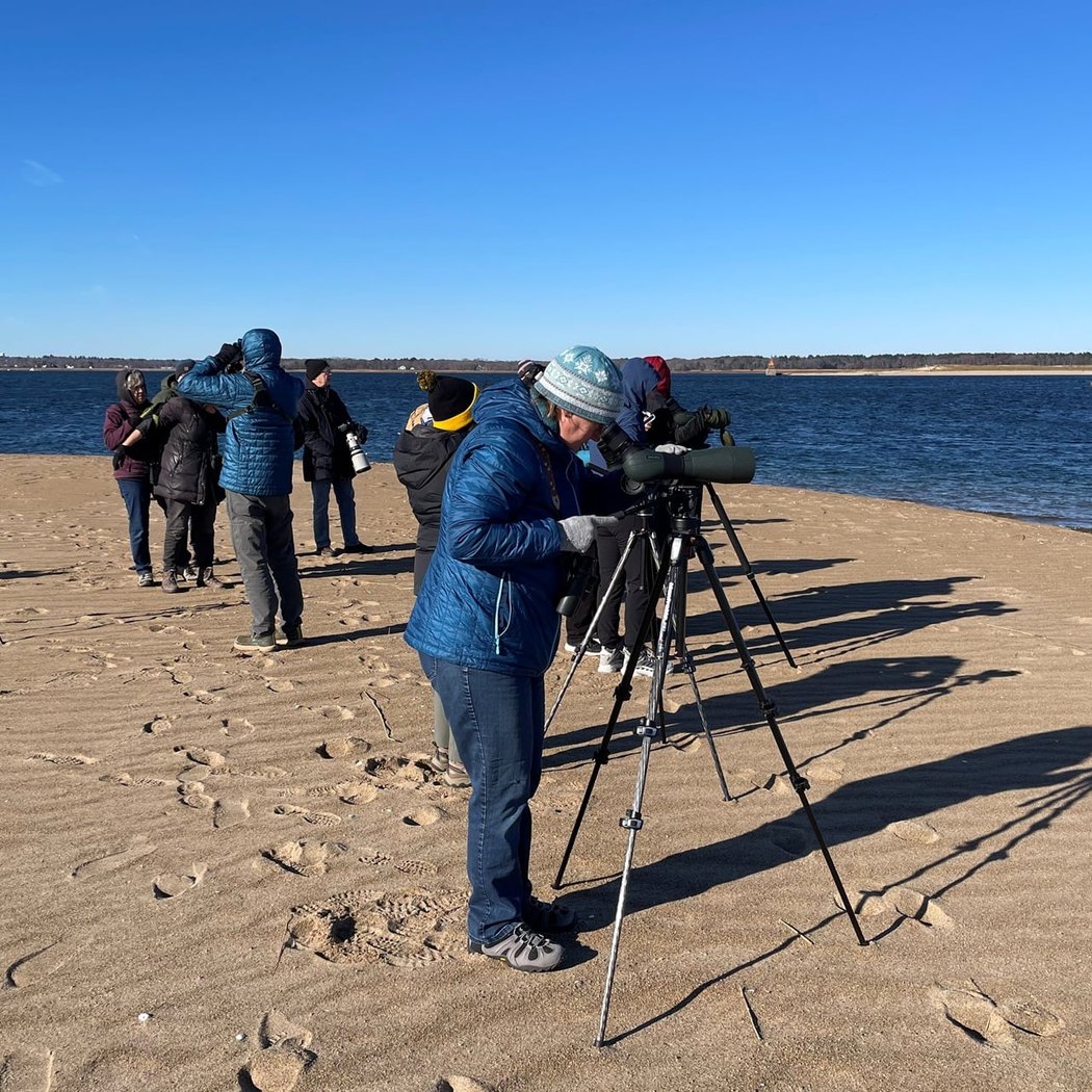 Friday Morning Birding 1