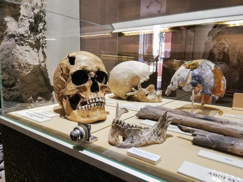 Regional Prehistory Museum 1