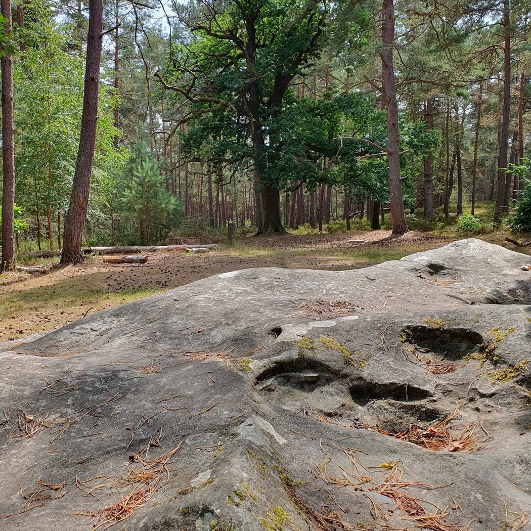 Dolmen de la Pierre Ardoue 2