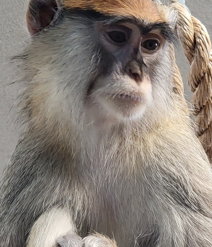 Topeka Zoo 2
