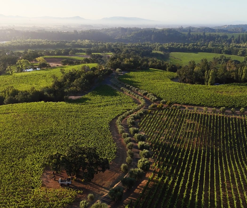 Thomas George Estates 2