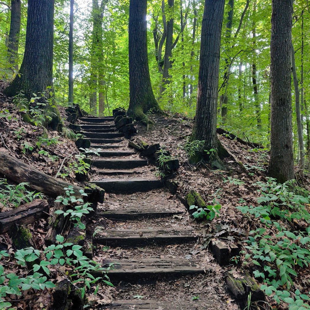 Fitzgerald Park 3