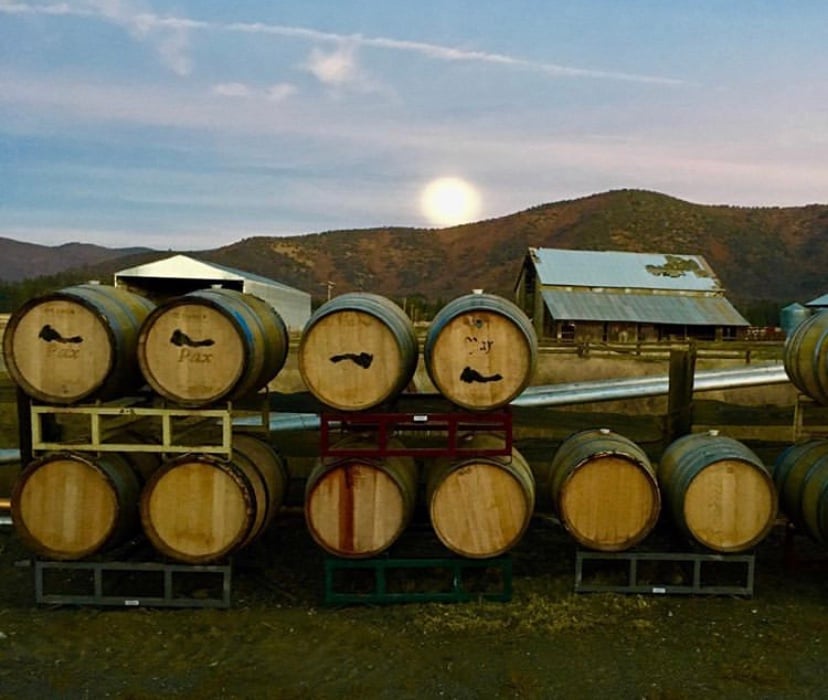 Iruai Wine / Methode Sauvage 1