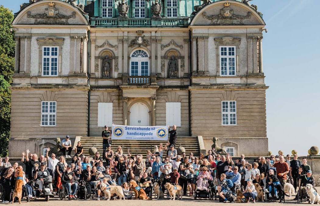 Sth - servicehunde til Handicappede Dog-A-Thon 1