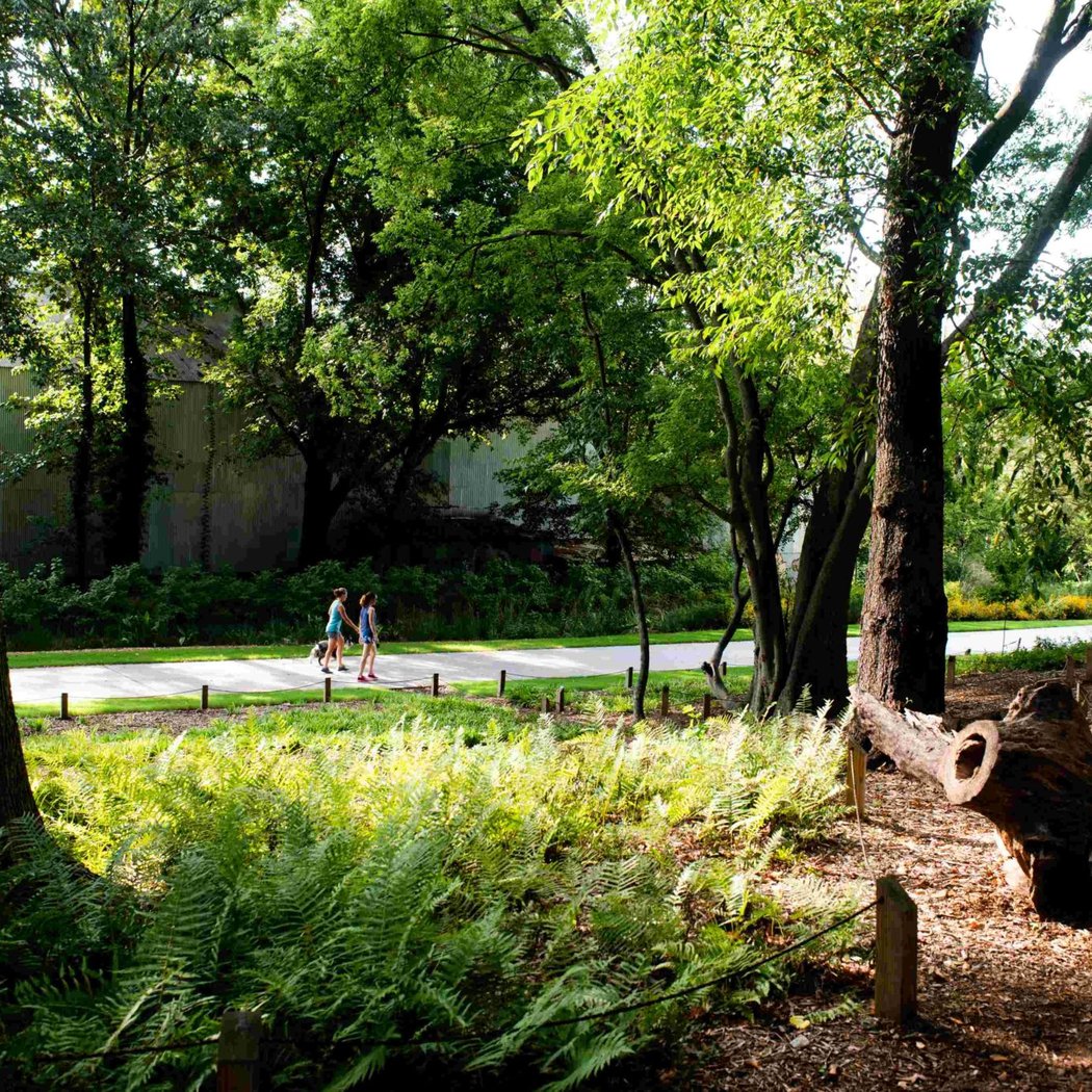 Atlanta Beltline Arboretum 1
