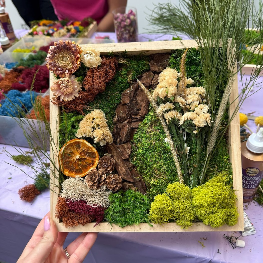 HOUSEPLANT 101 WORKSHOP 3