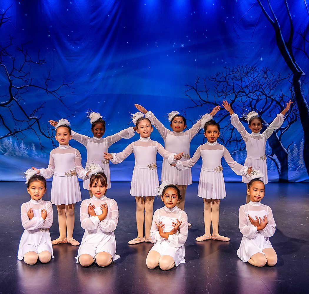 Veksler Academy of Music & Dance 3