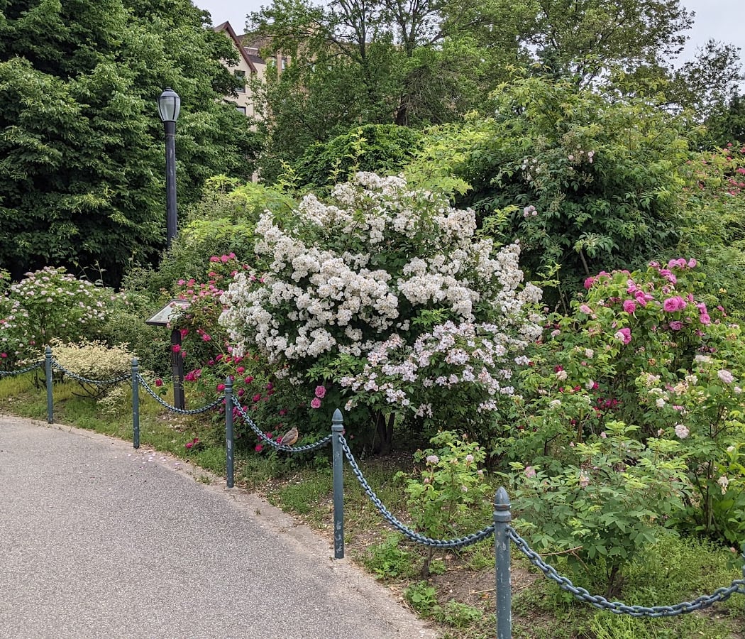 Narrows Botanical Gardens 4