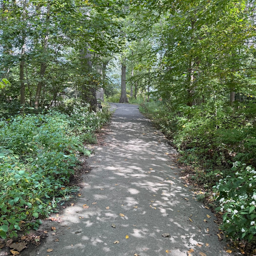 Alley Pond Park Trailhead - White Trail 3