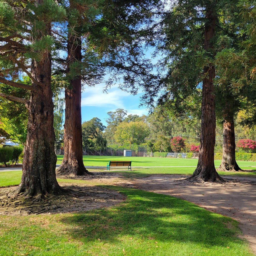 Village Park 1