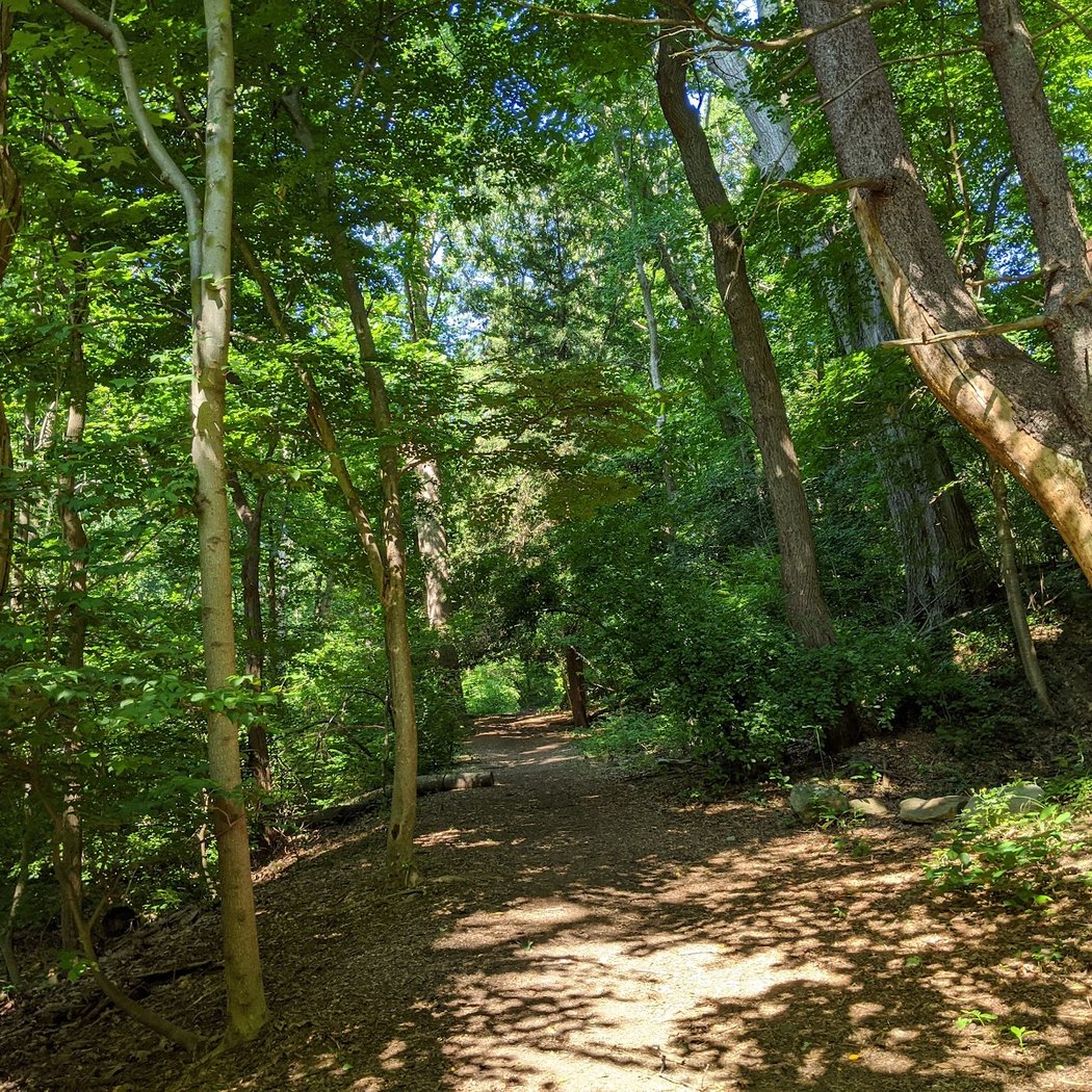 Theodore Roosevelt Sanctuary and Audubon Center 1