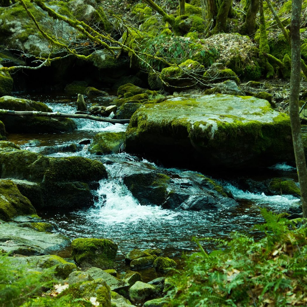 Gorges de la Canche 3
