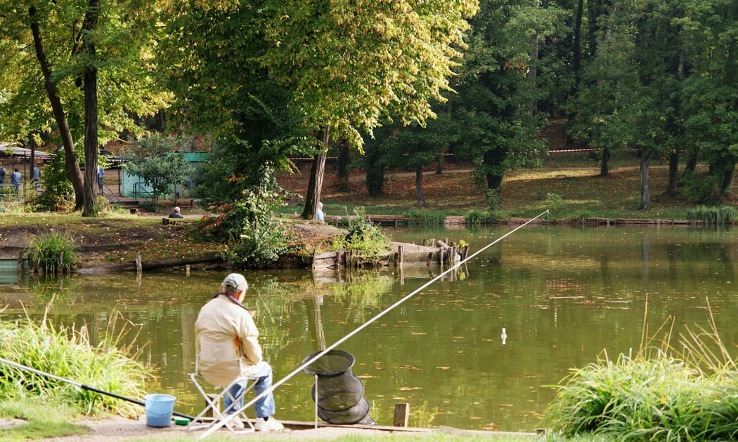 Parc de la Mairie 2